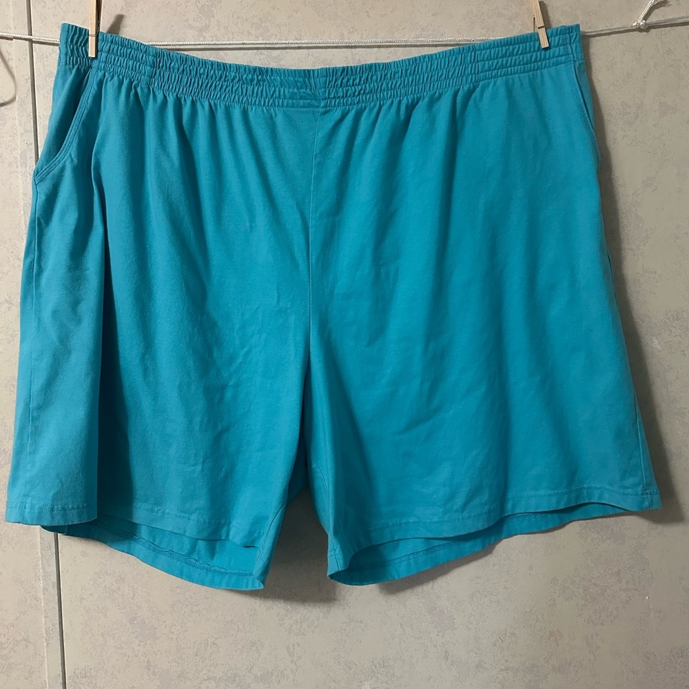 Woman Within Blue Shorts